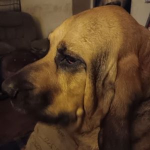 Meet your Posher, Cara